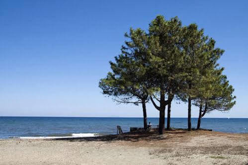 Camping Merendella Moriani Plage Dış mekan fotoğraf